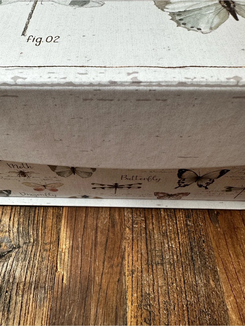 Wings Butterfly gift box Art - Neutral Cream & Tan